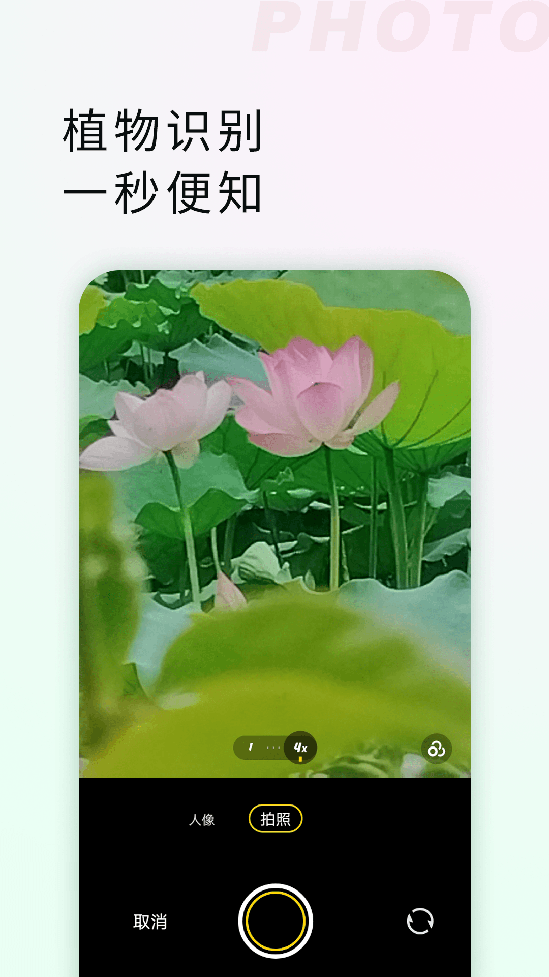 精彩截图-拍照识物全能王2025官方新版