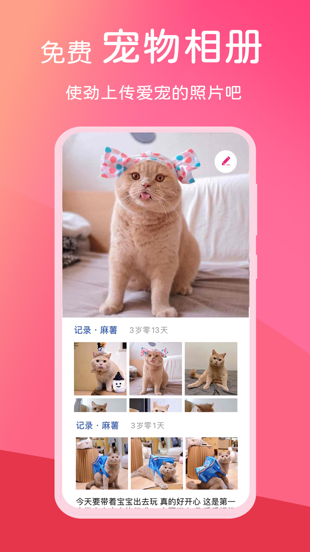 精彩截图-宠饭2025官方新版