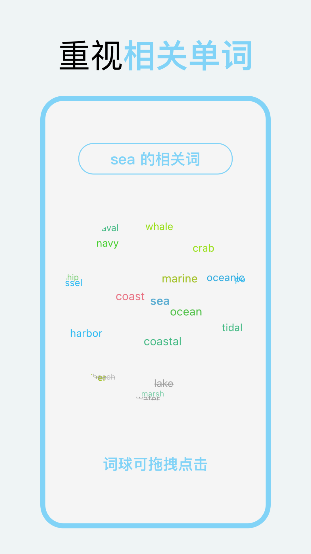 精彩截图-向量单词2026官方新版