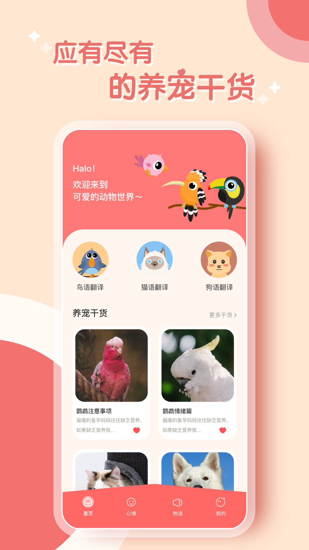 精彩截图-鹦鹉翻译器2025官方新版