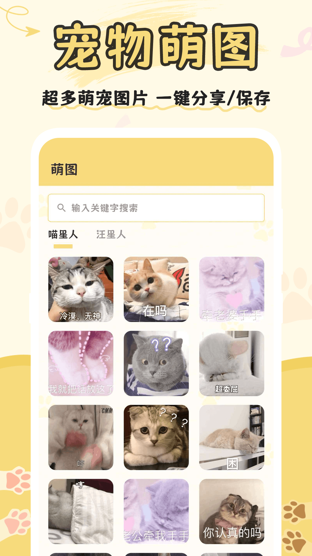 猫语 截图 4