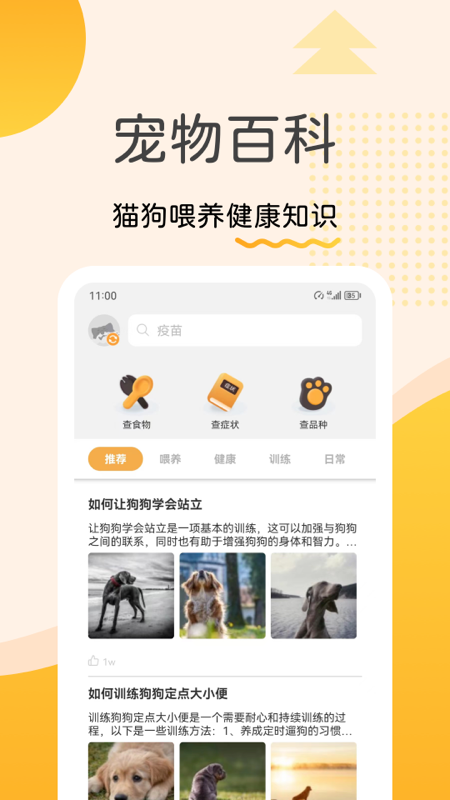 精彩截图-宠物记2025官方新版