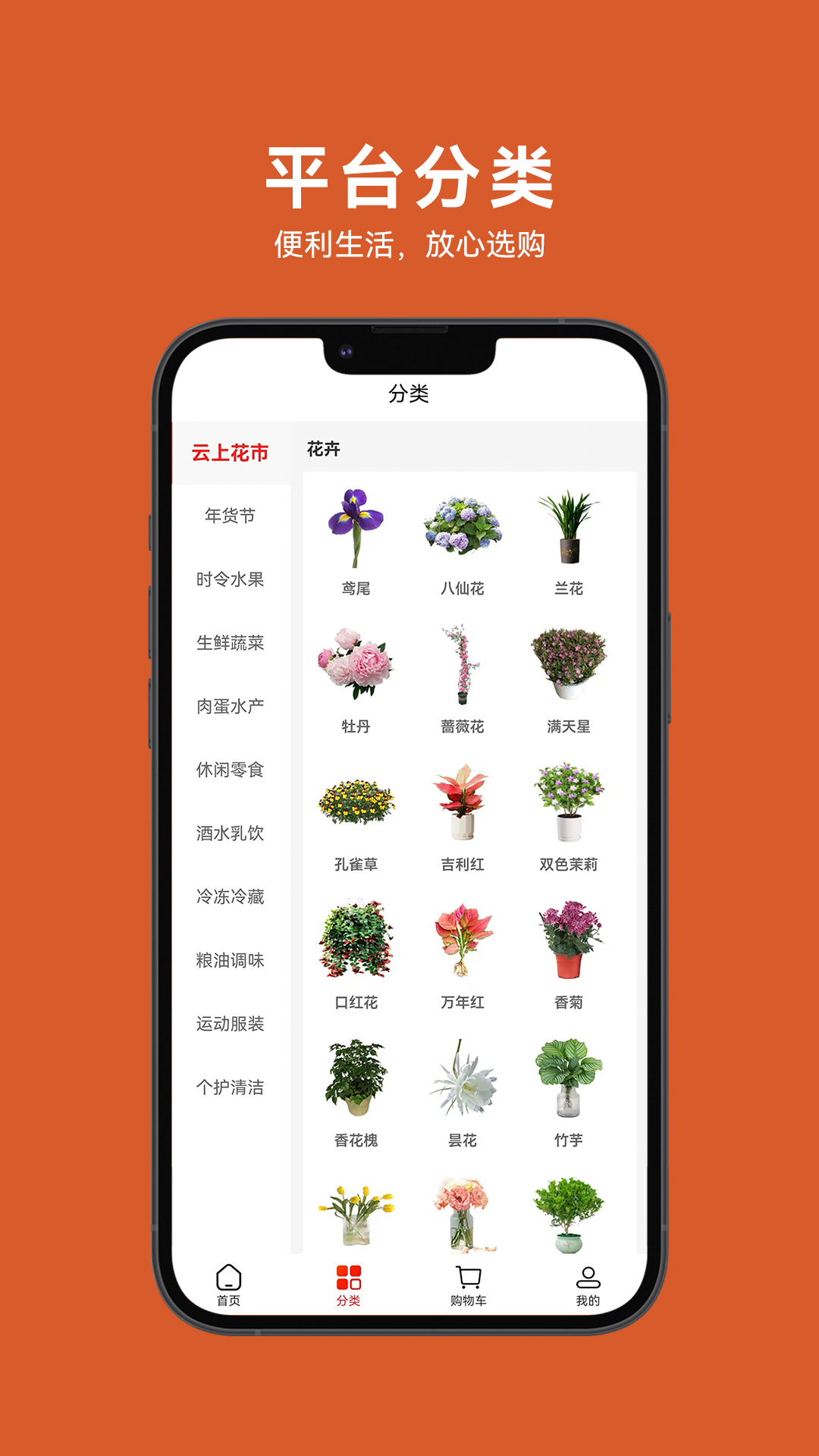 精彩截图-茂名墟2026官方新版