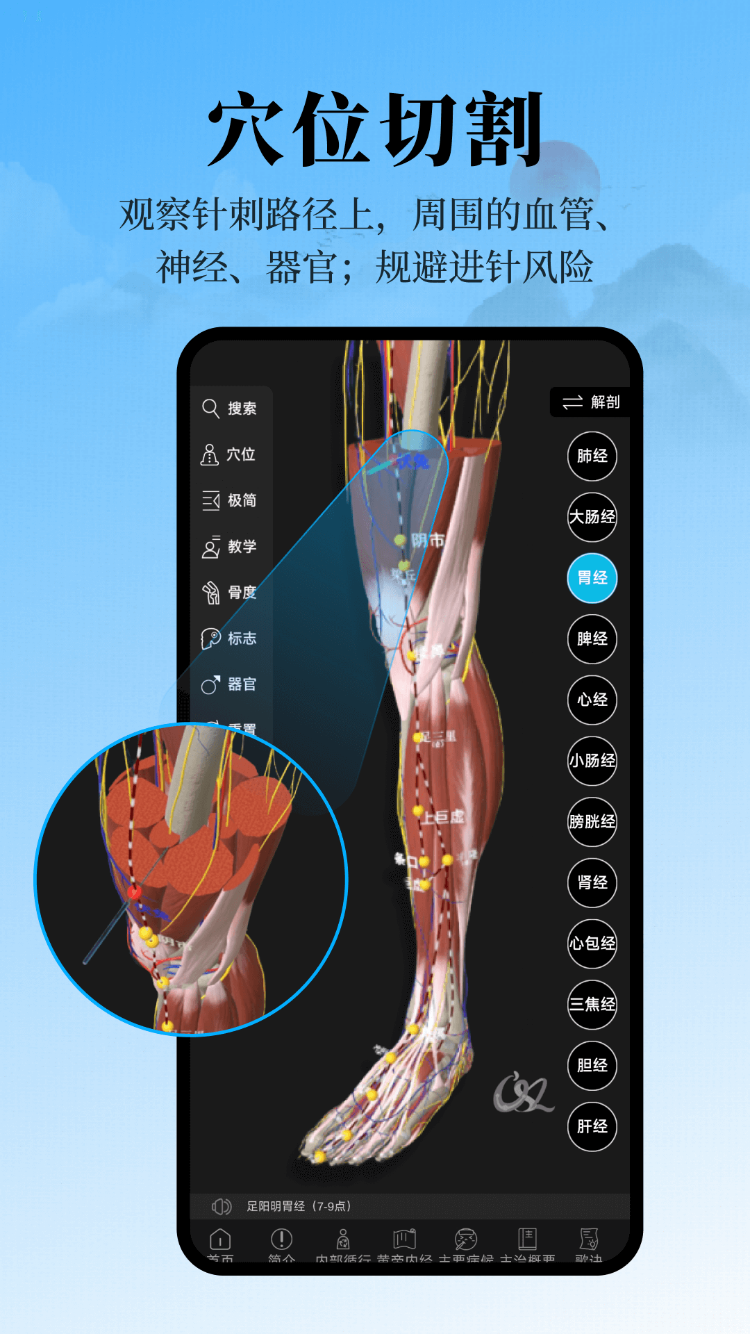 精彩截图-针灸大师2026官方新版