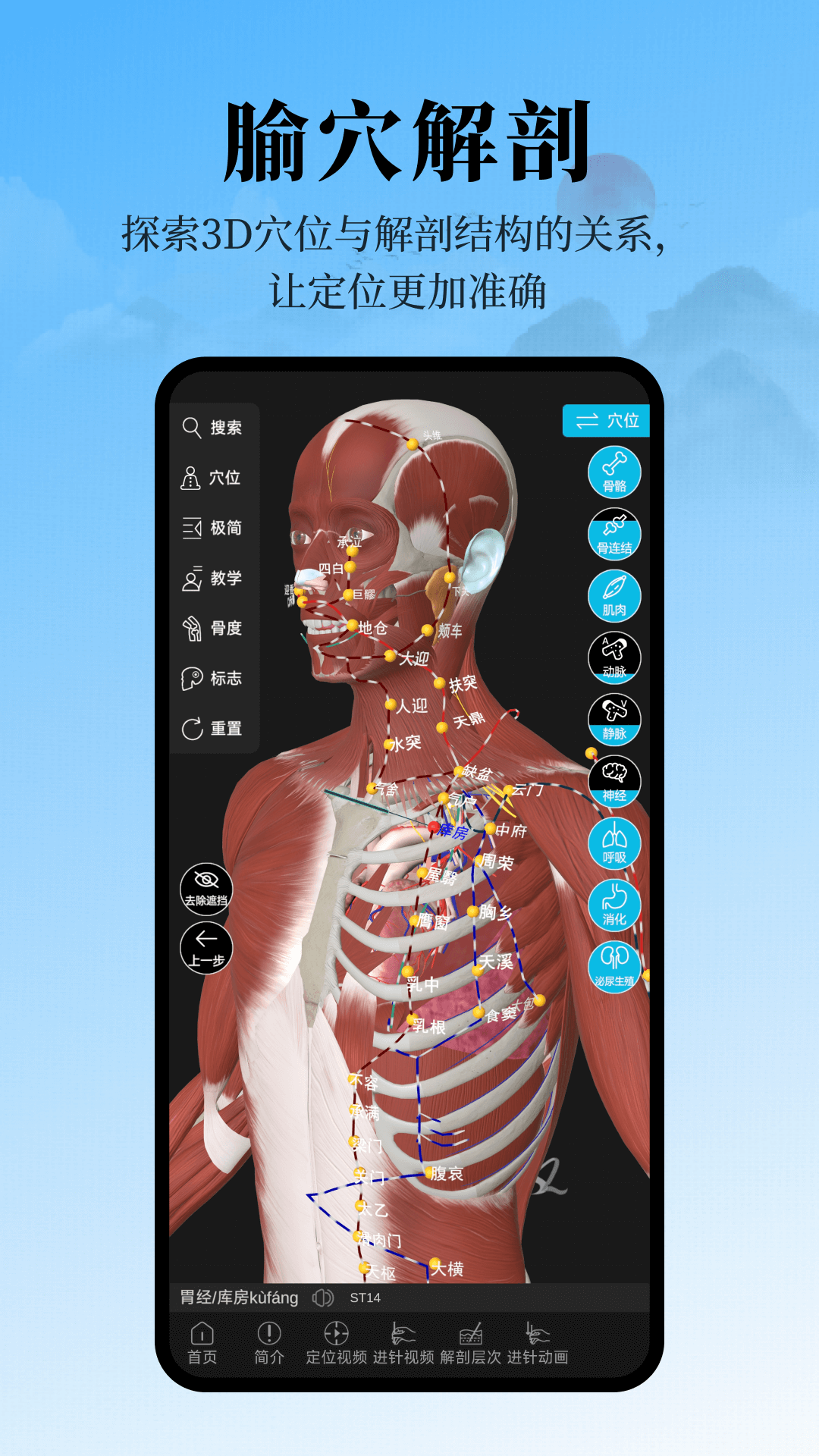 精彩截图-针灸大师2026官方新版