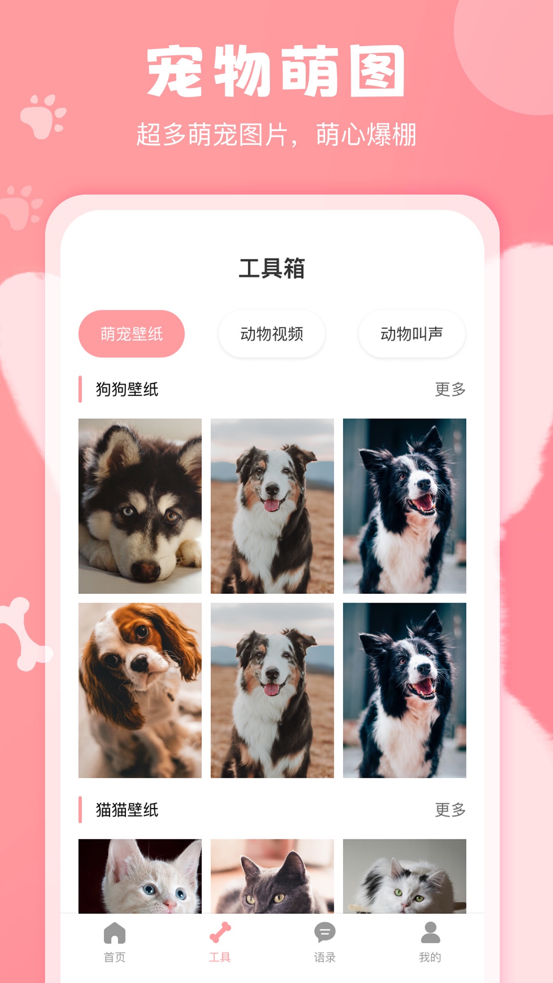 精彩截图-狗语翻译器2025官方新版
