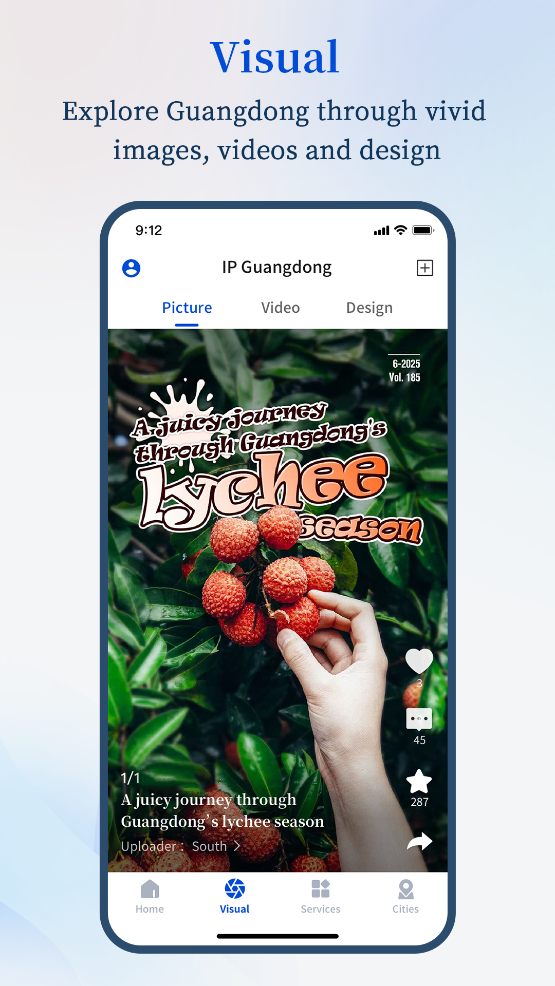 South 截图 2