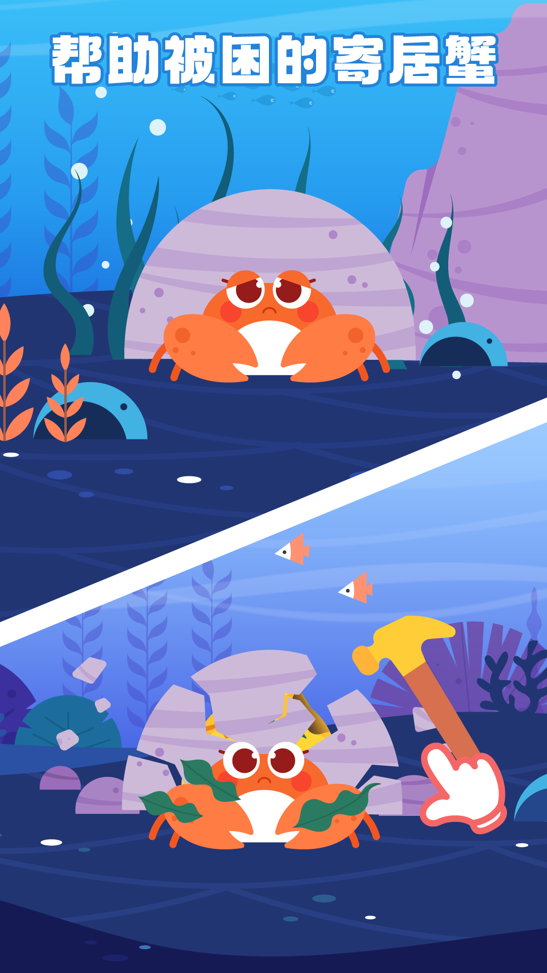 精彩截图-多多海洋医生2025官方新版