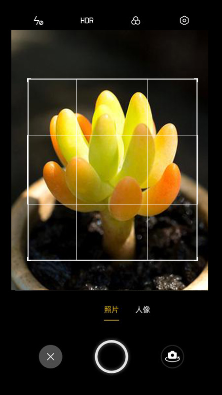 精彩截图-花草识别软件2026官方新版