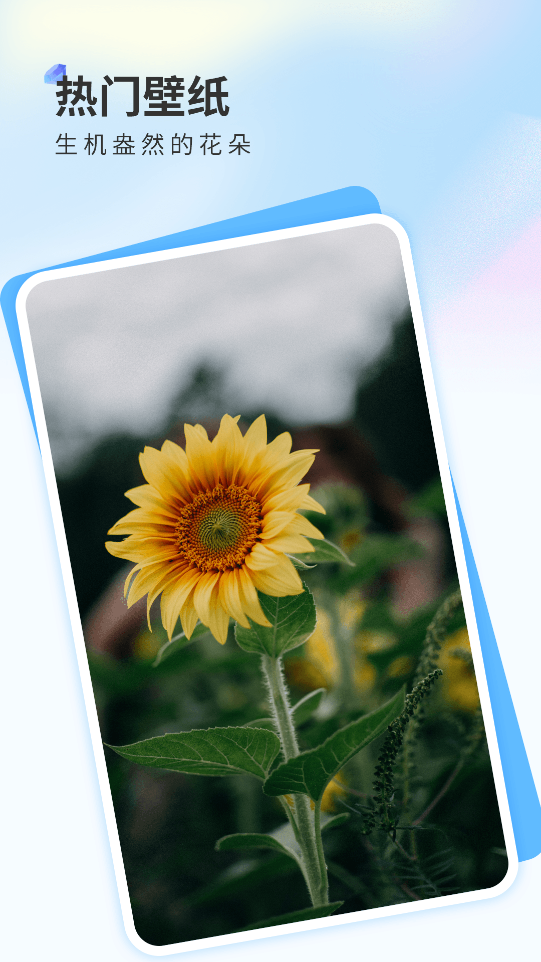 精彩截图-克拉壁纸2026官方新版