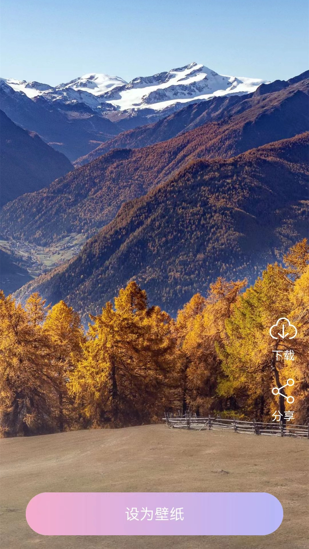 精彩截图-星空视频壁纸2026官方新版