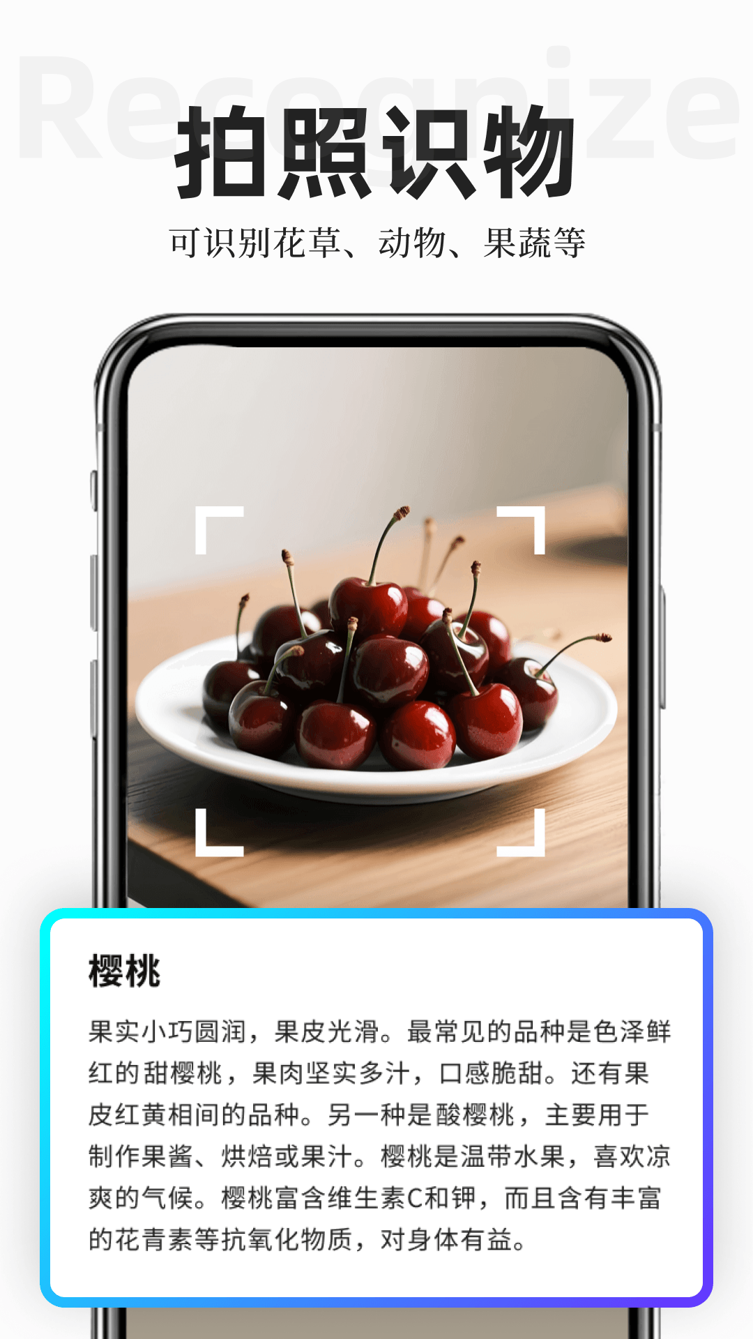 精彩截图-扫描专家2026官方新版