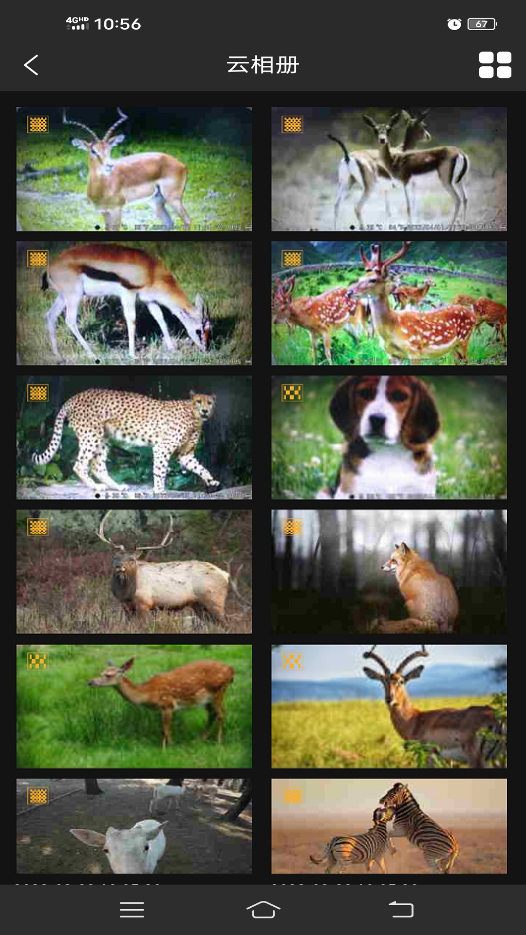 精彩截图-Trail Cam_4G2025官方新版