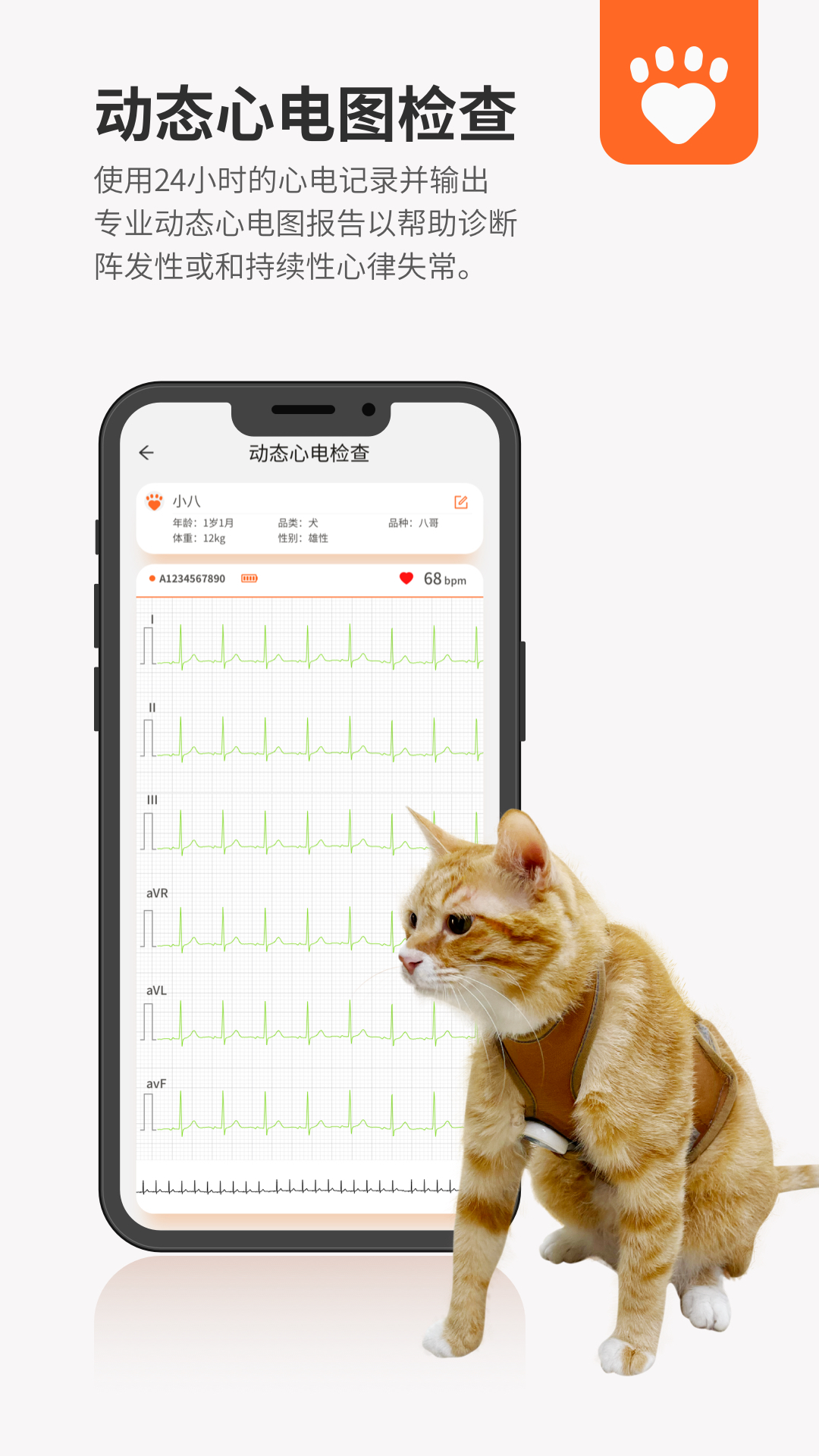 精彩截图-星爱宠2026官方新版