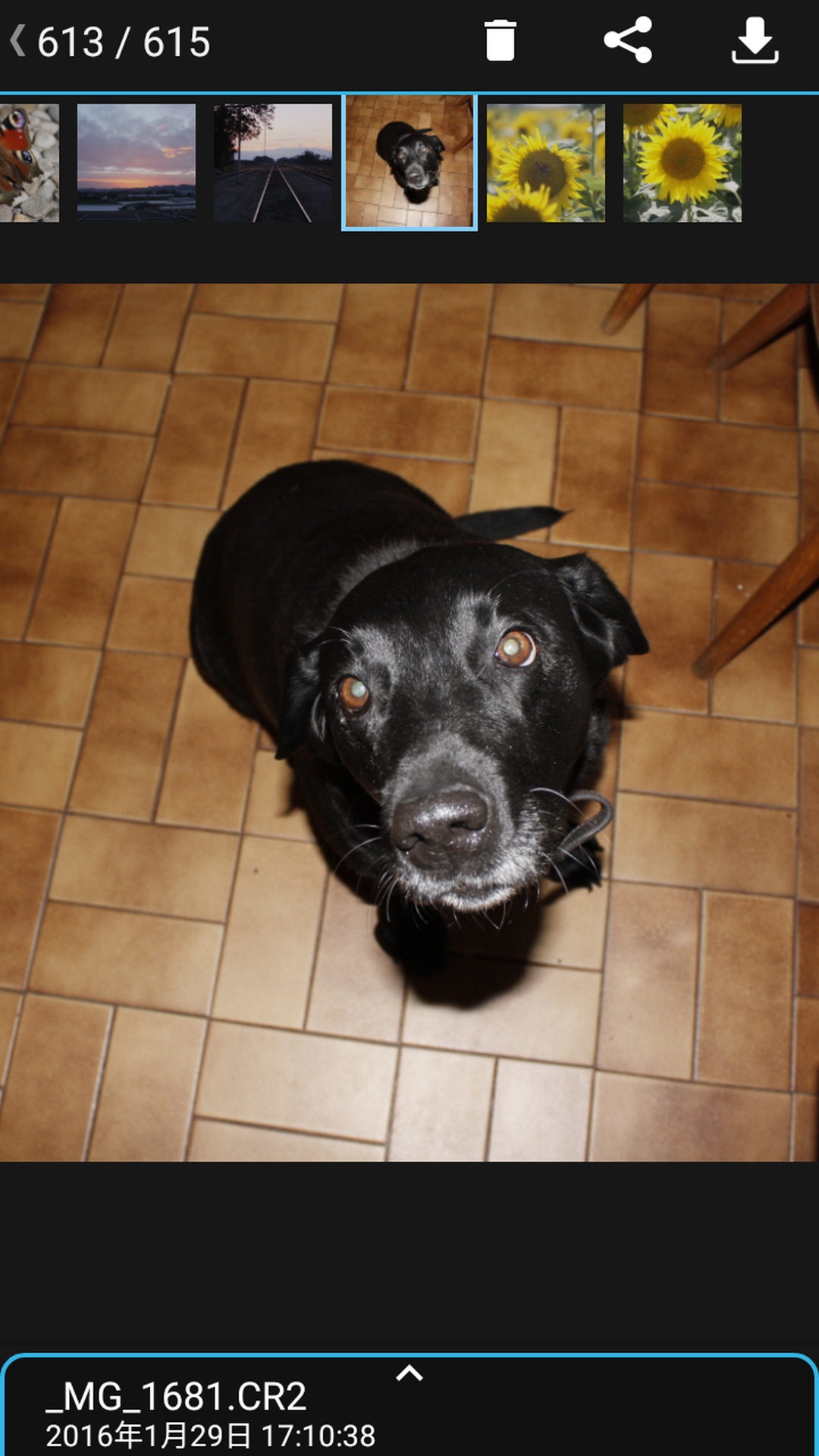 精彩截图-相机连接和控制2026官方新版