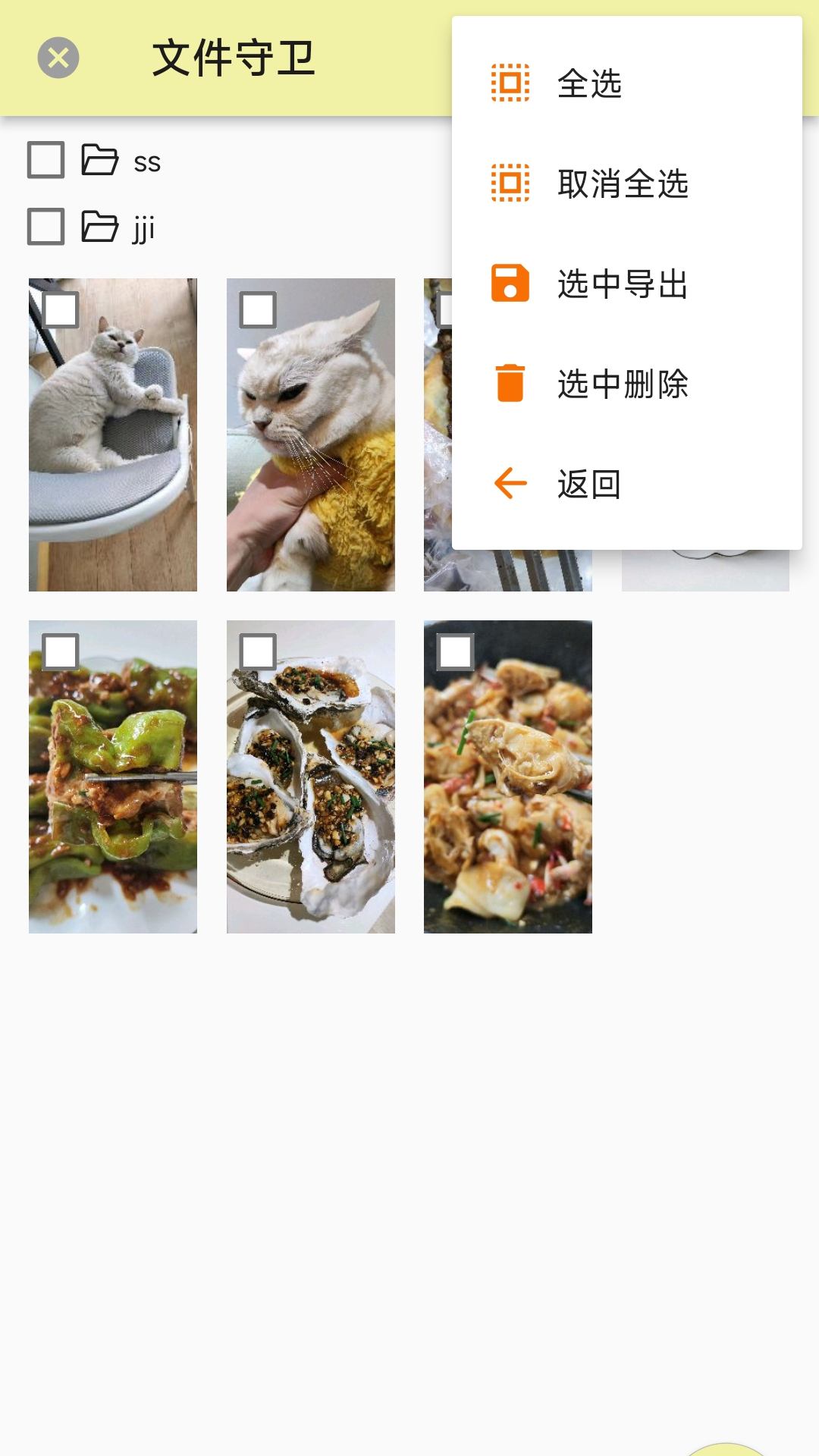 精彩截图-文件守卫2025官方新版