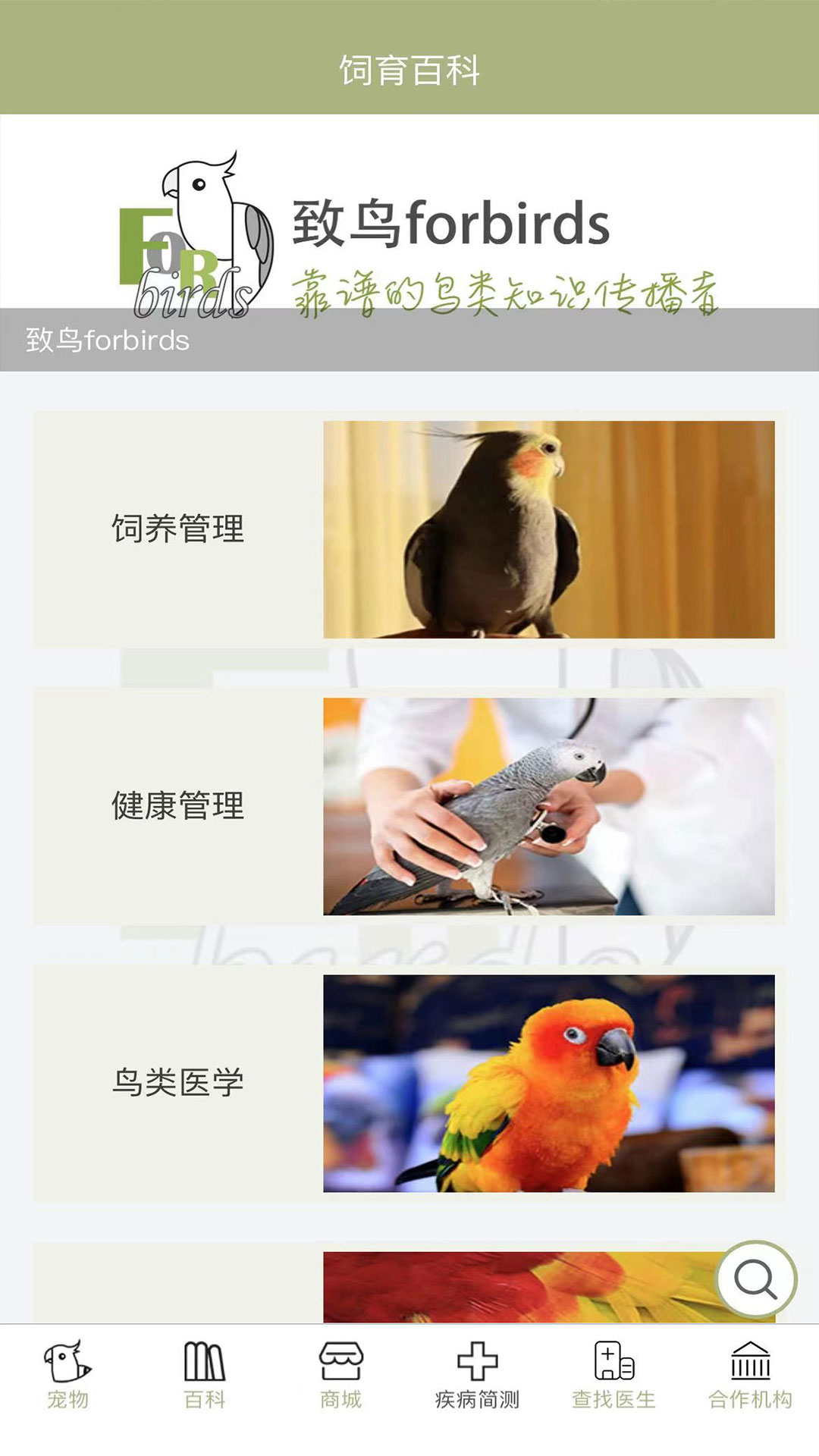 精彩截图-致鸟forbirds2026官方新版