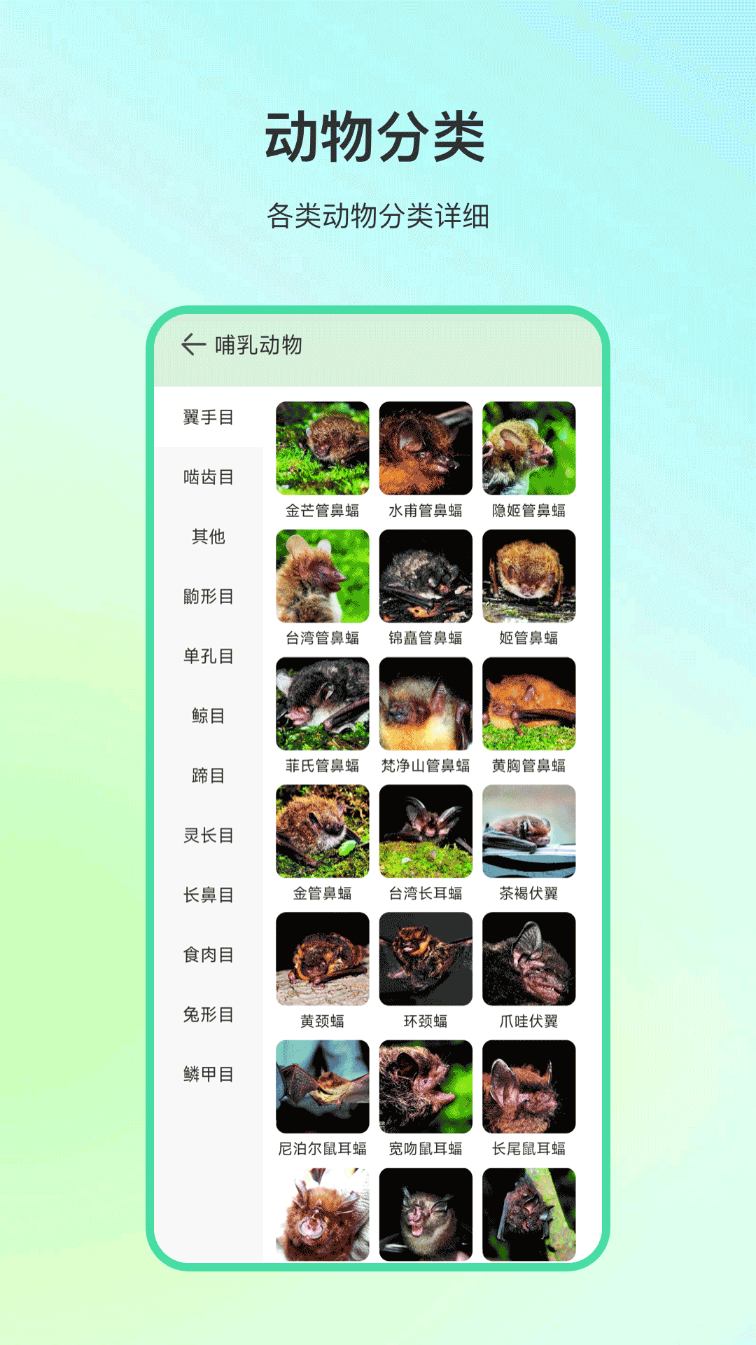 精彩截图-动物百科2025官方新版