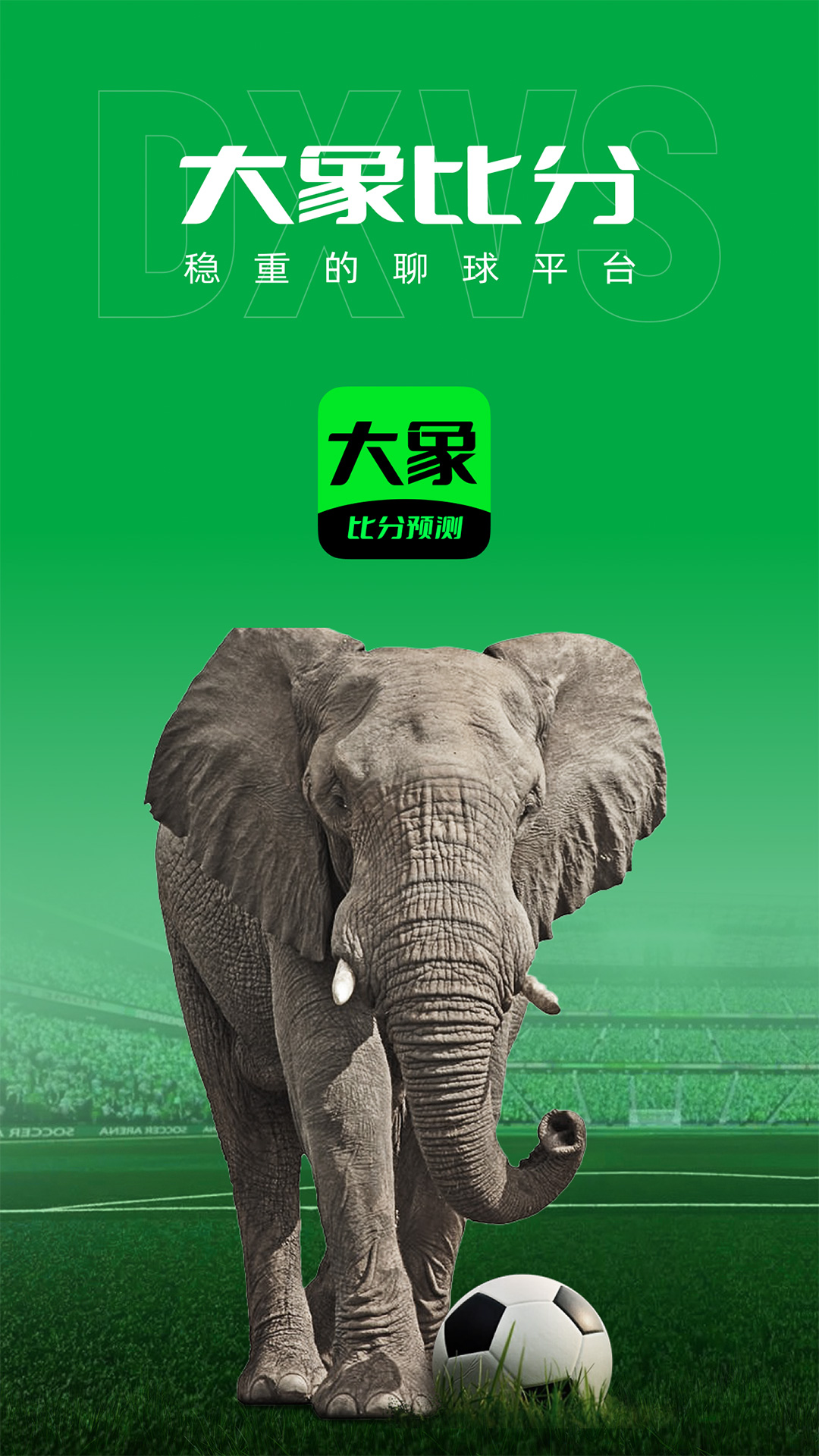 大象比分截图
