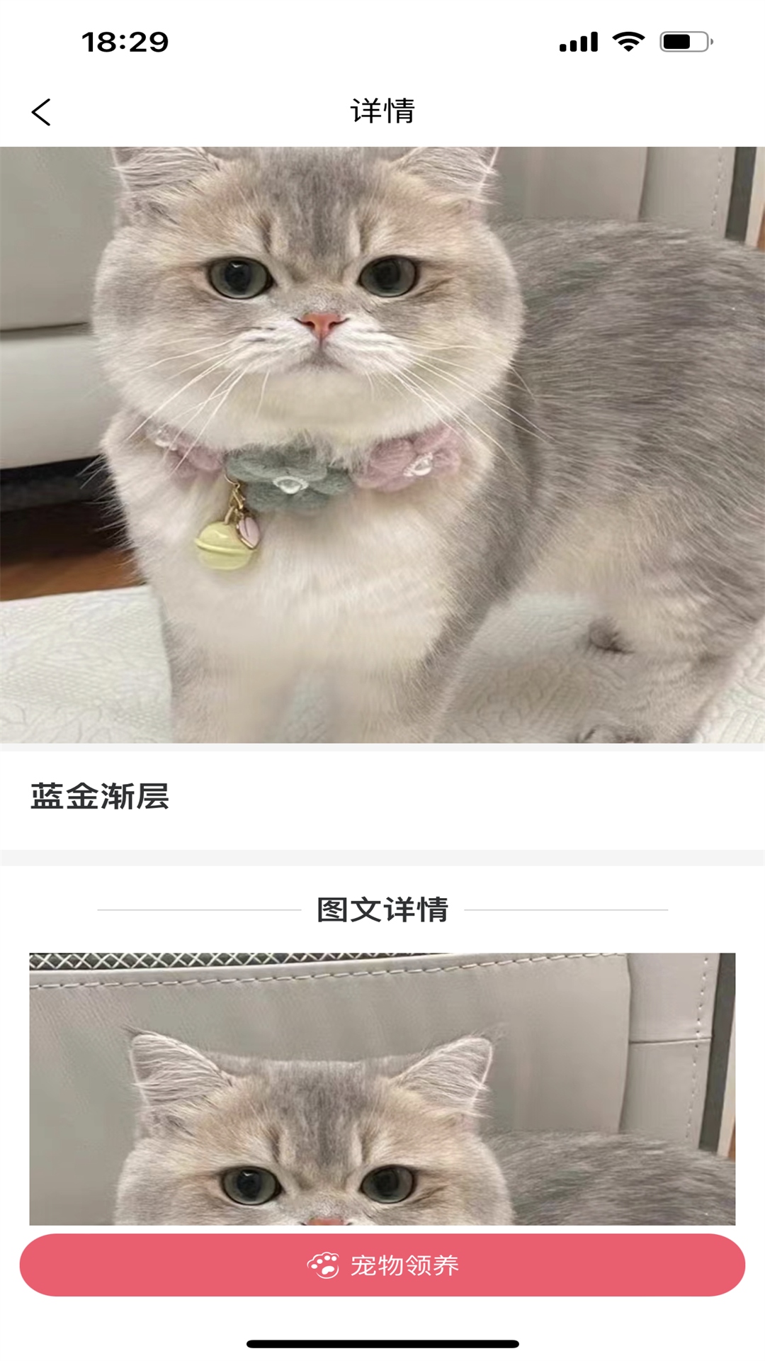 精彩截图-宠哩吖商城2025官方新版