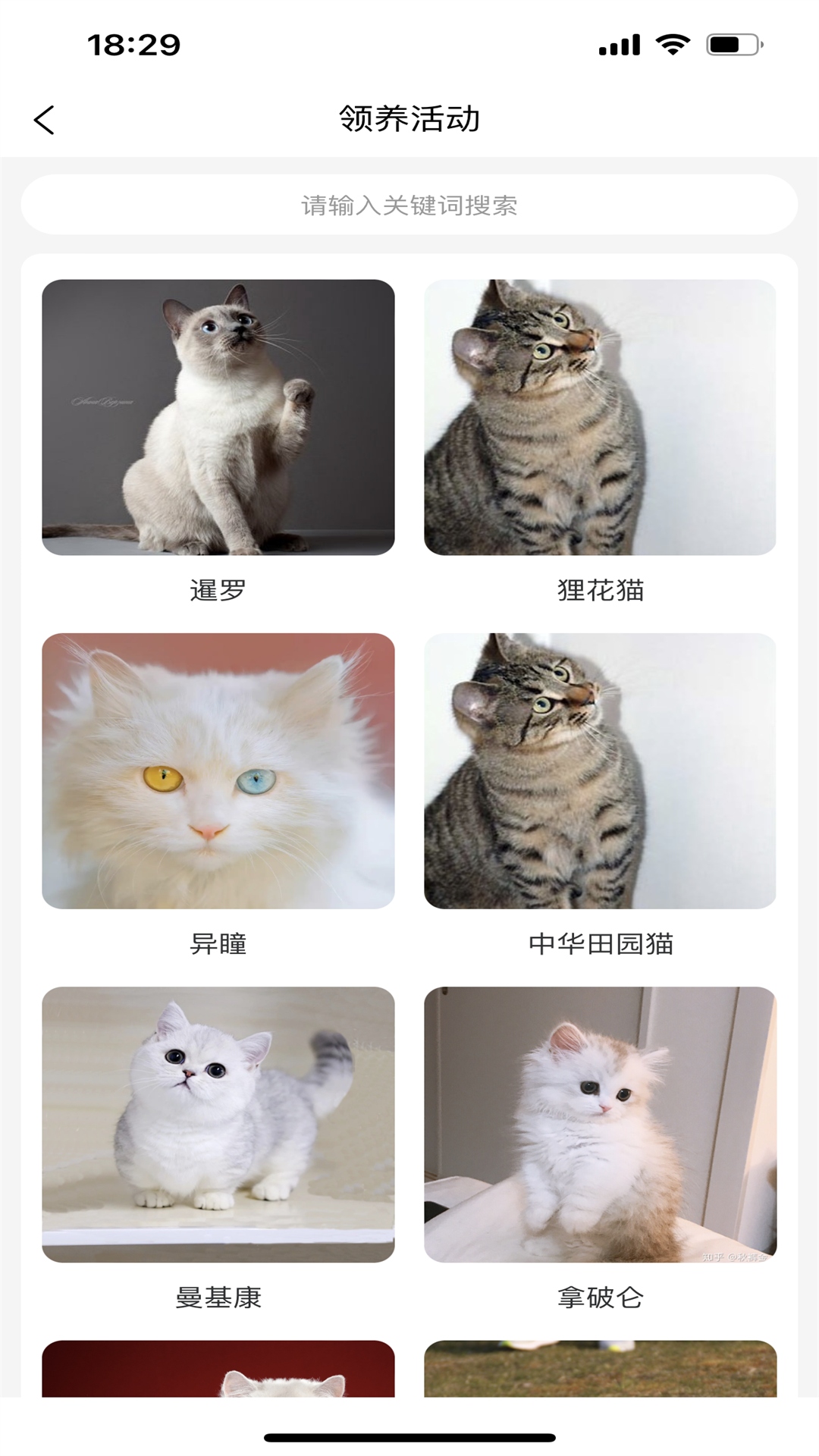 精彩截图-宠哩吖商城2026官方新版