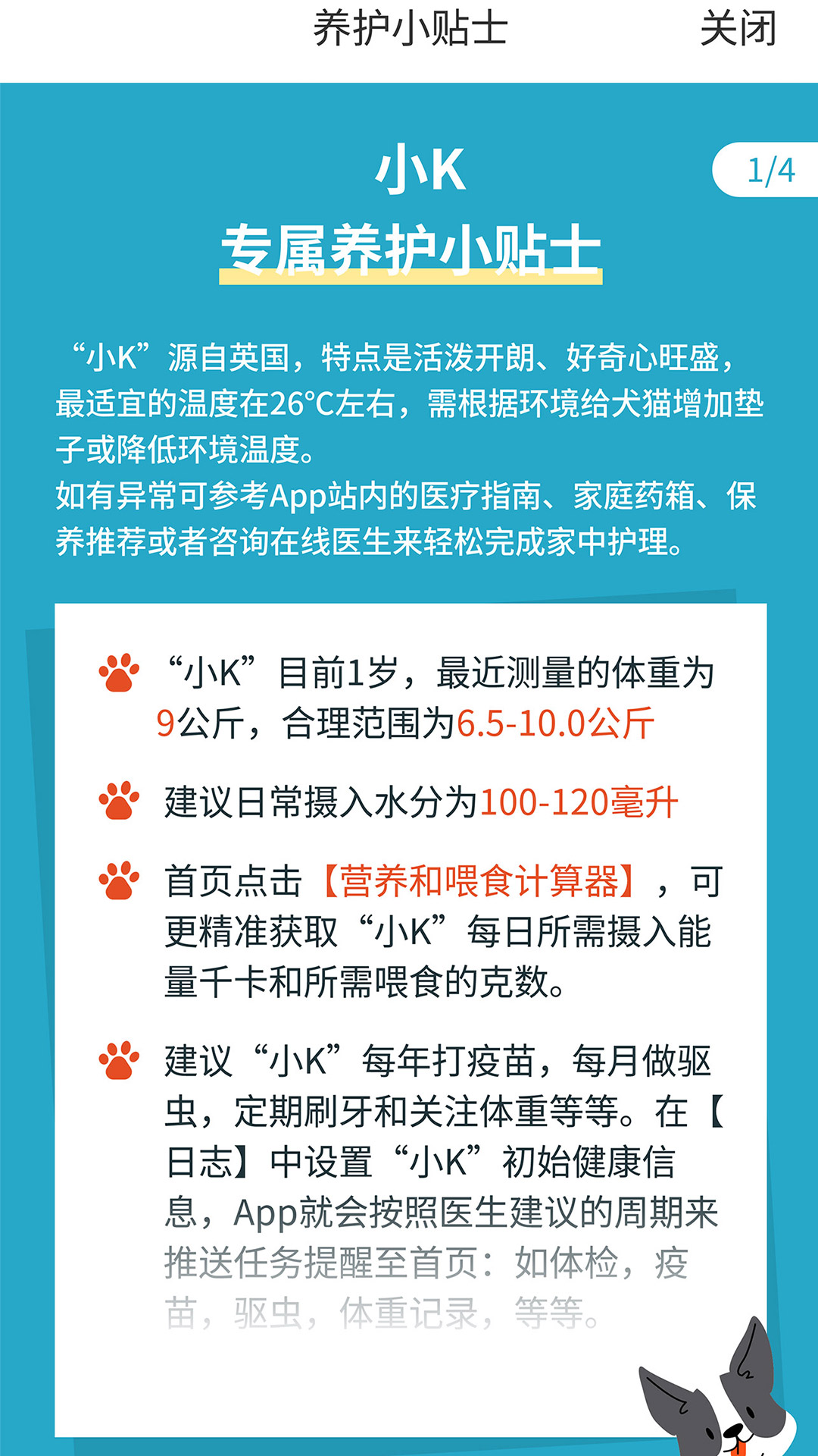  探索SMAPET智慧贝蒂：智能助手的未来  