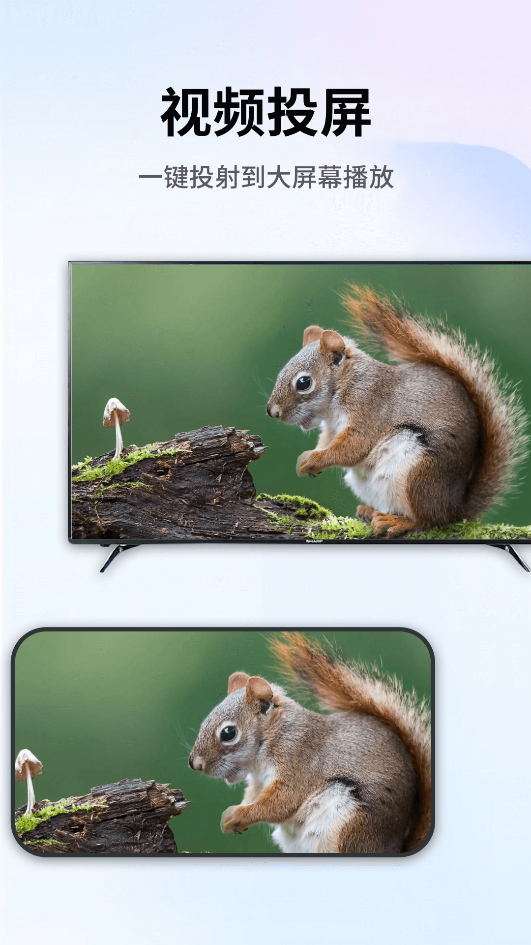 精彩截图-易投屏2026官方新版