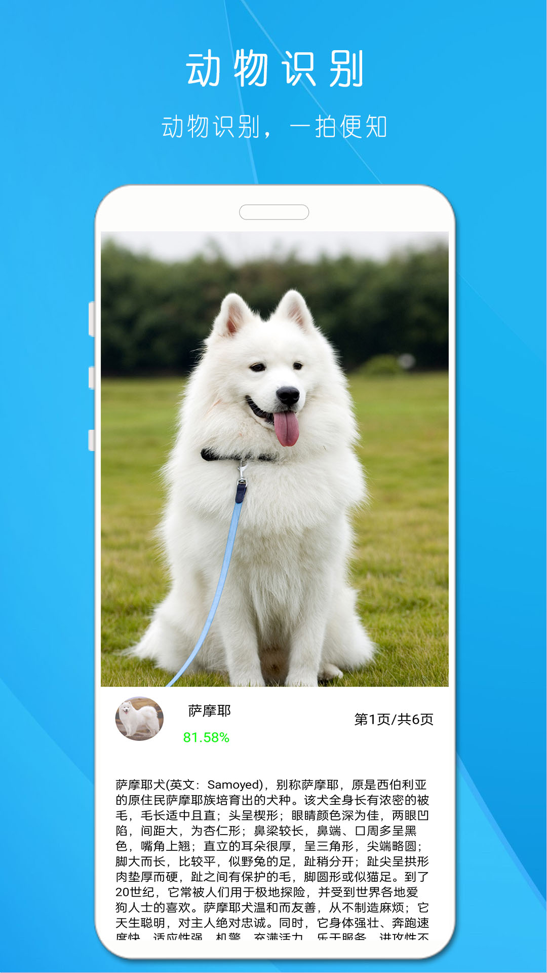 精彩截图-拍照识万物2025官方新版