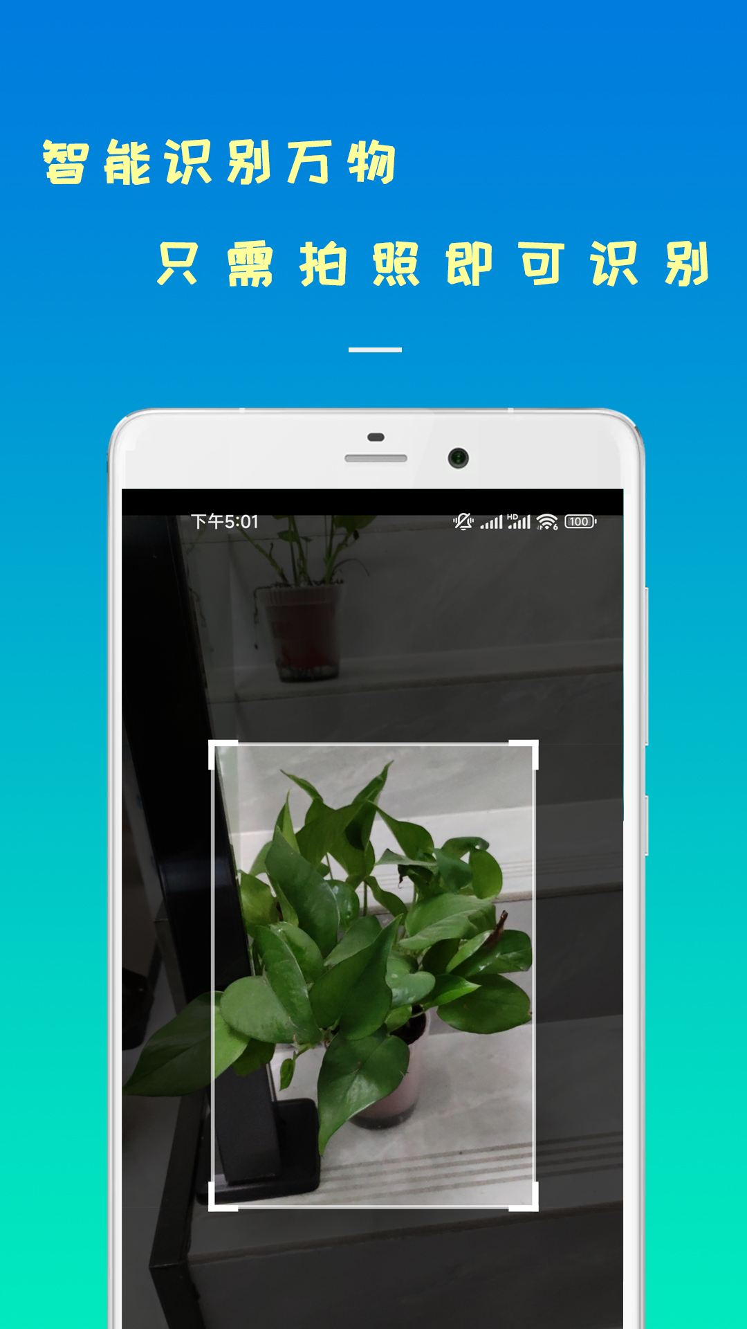 精彩截图-智能识物2025官方新版