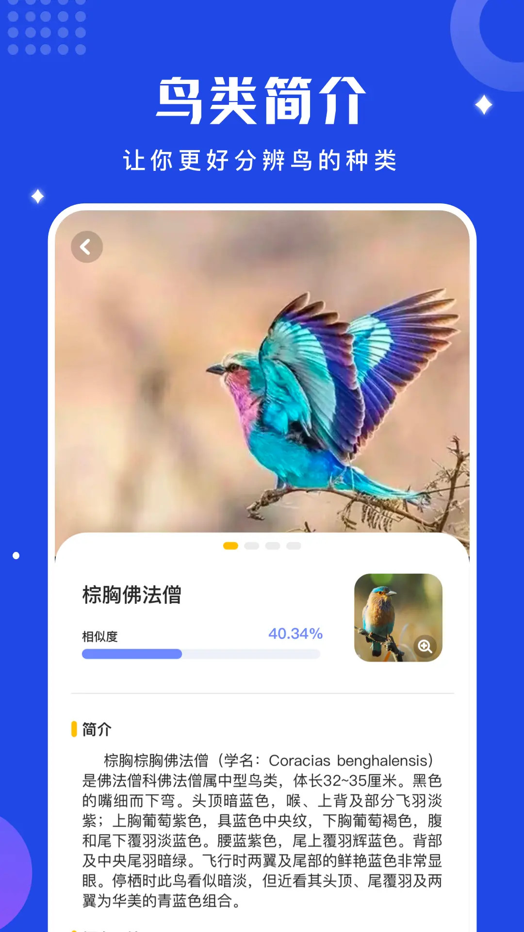 精彩截图-鸟语翻译器2025官方新版