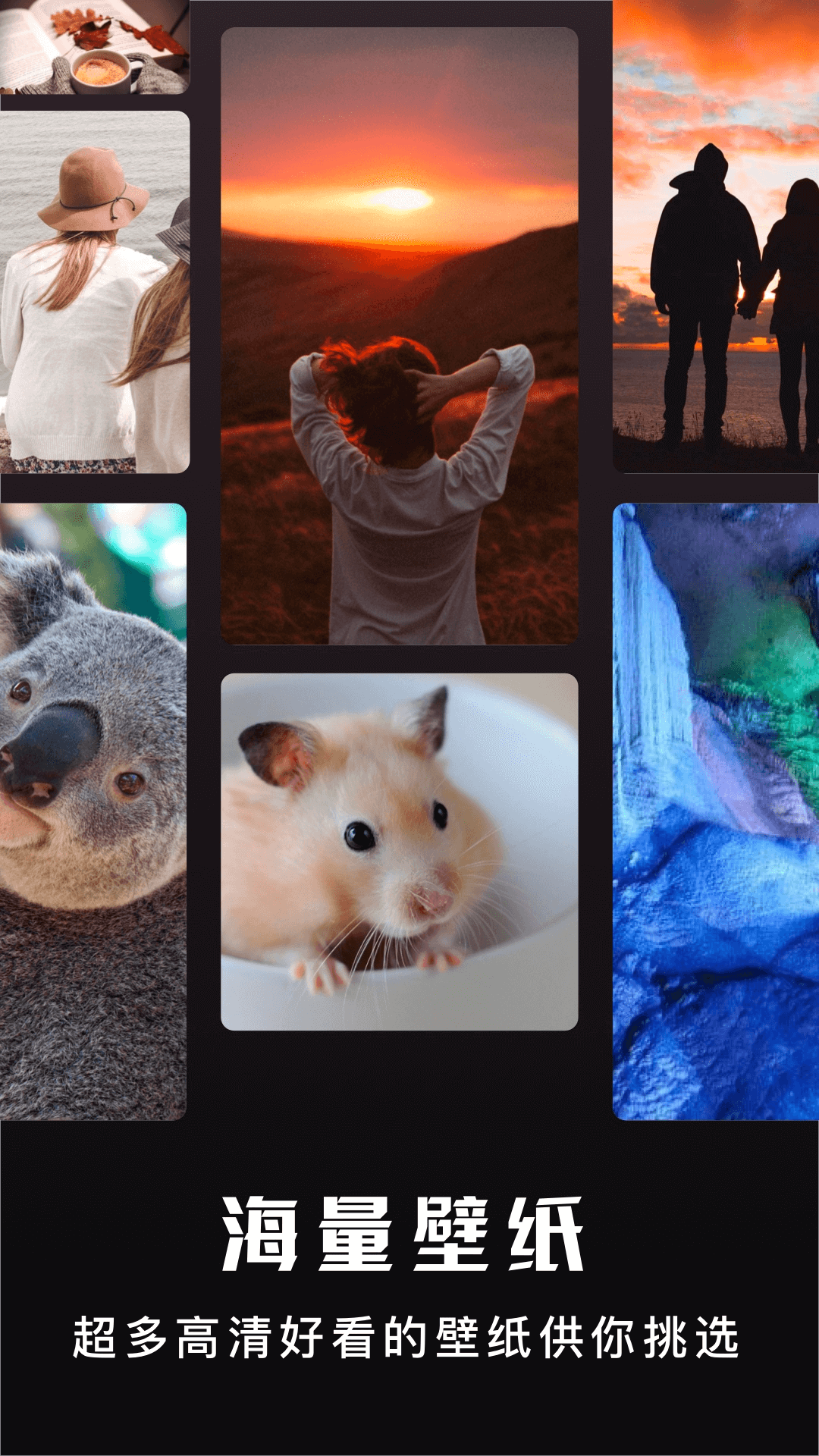 精彩截图-主题盒2026官方新版