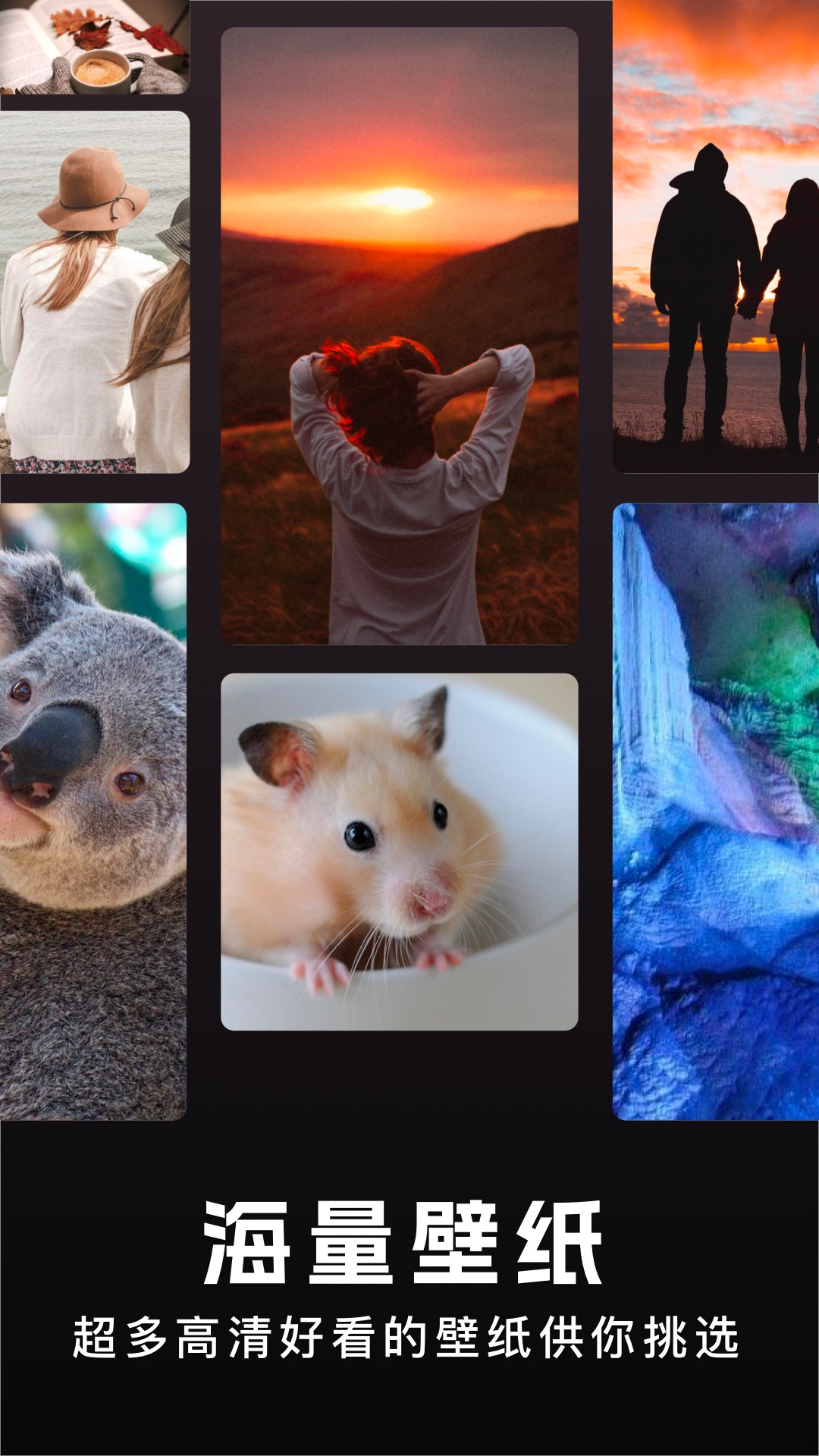 精彩截图-主题盒2026官方新版