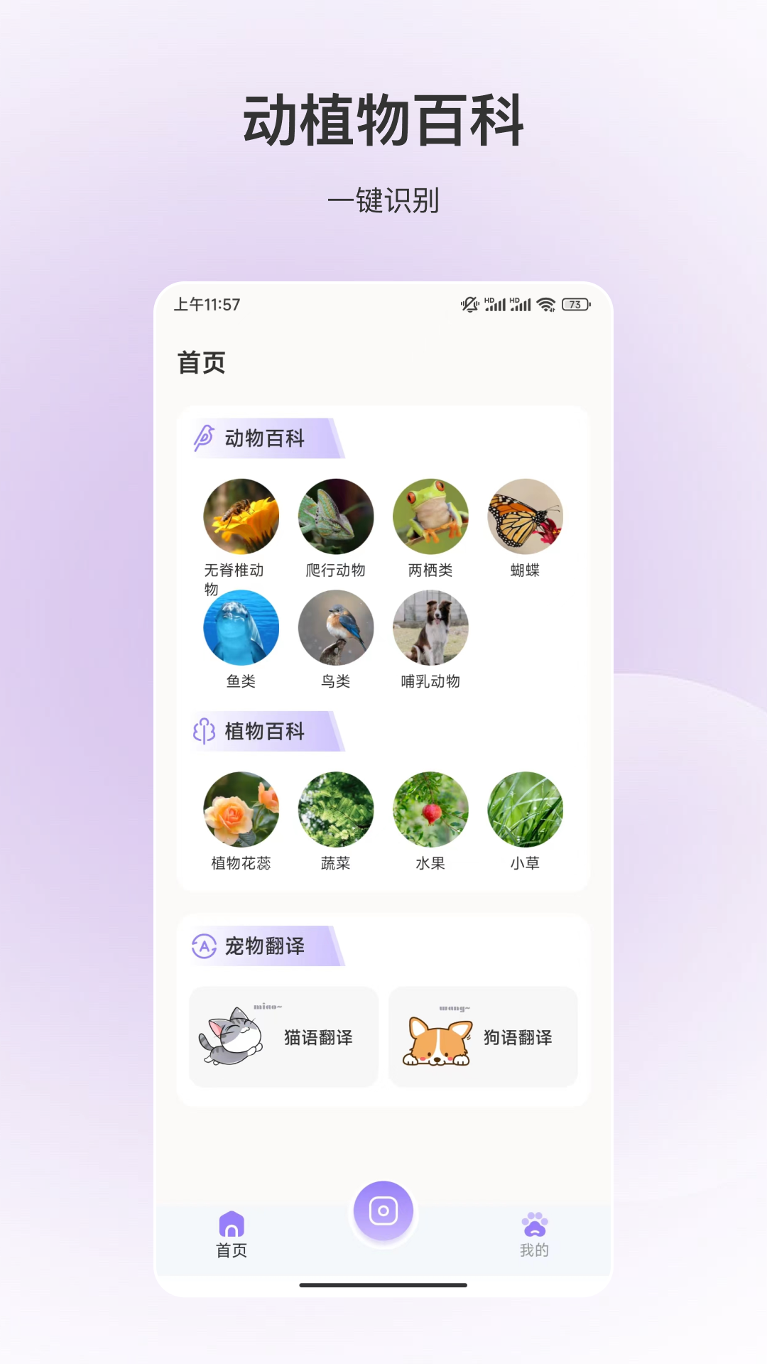 精彩截图-百科全书2026官方新版
