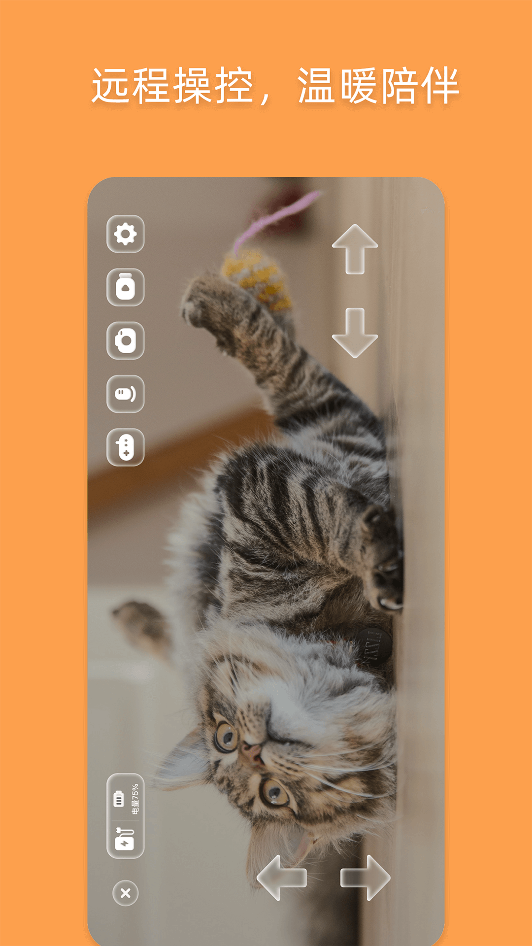 精彩截图-优宠嘻宝2026官方新版