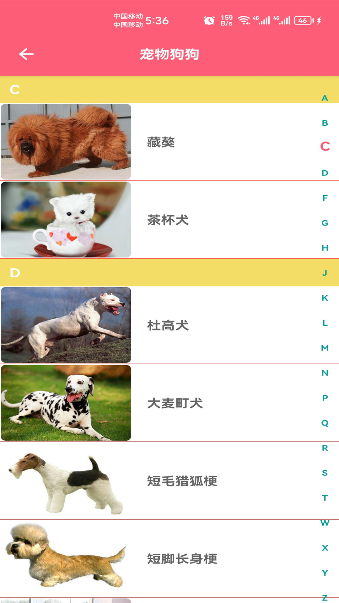 精彩截图-宠物宝宝大全2025官方新版