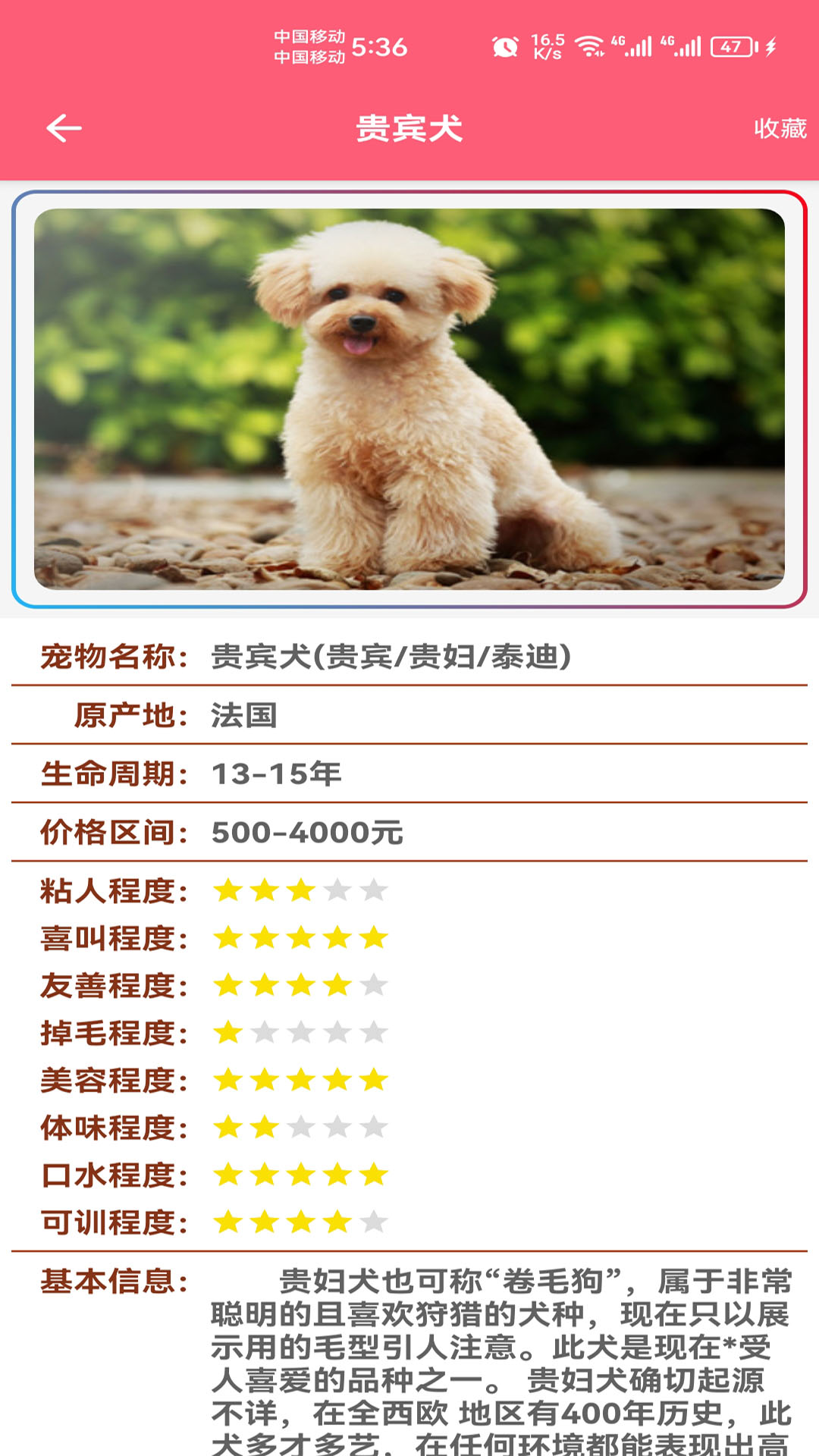 精彩截图-宠物宝宝大全2025官方新版