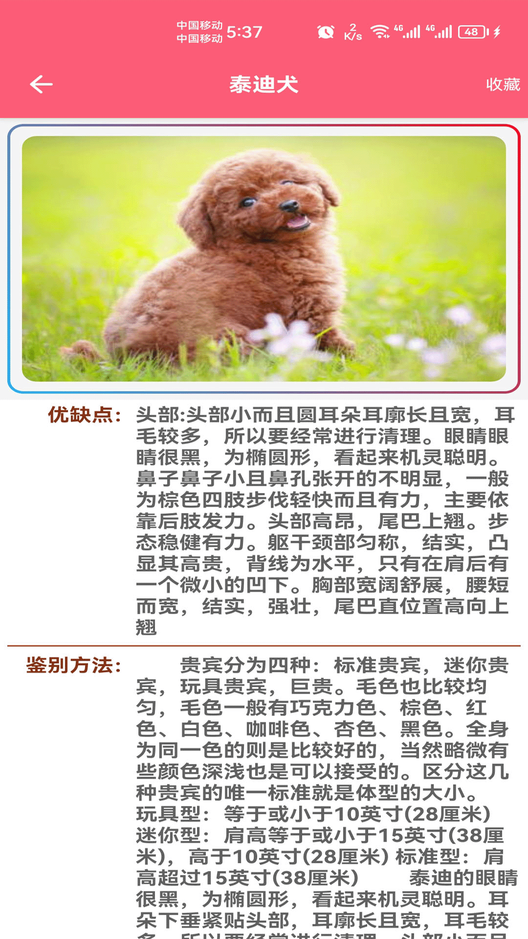 精彩截图-宠物宝宝大全2025官方新版