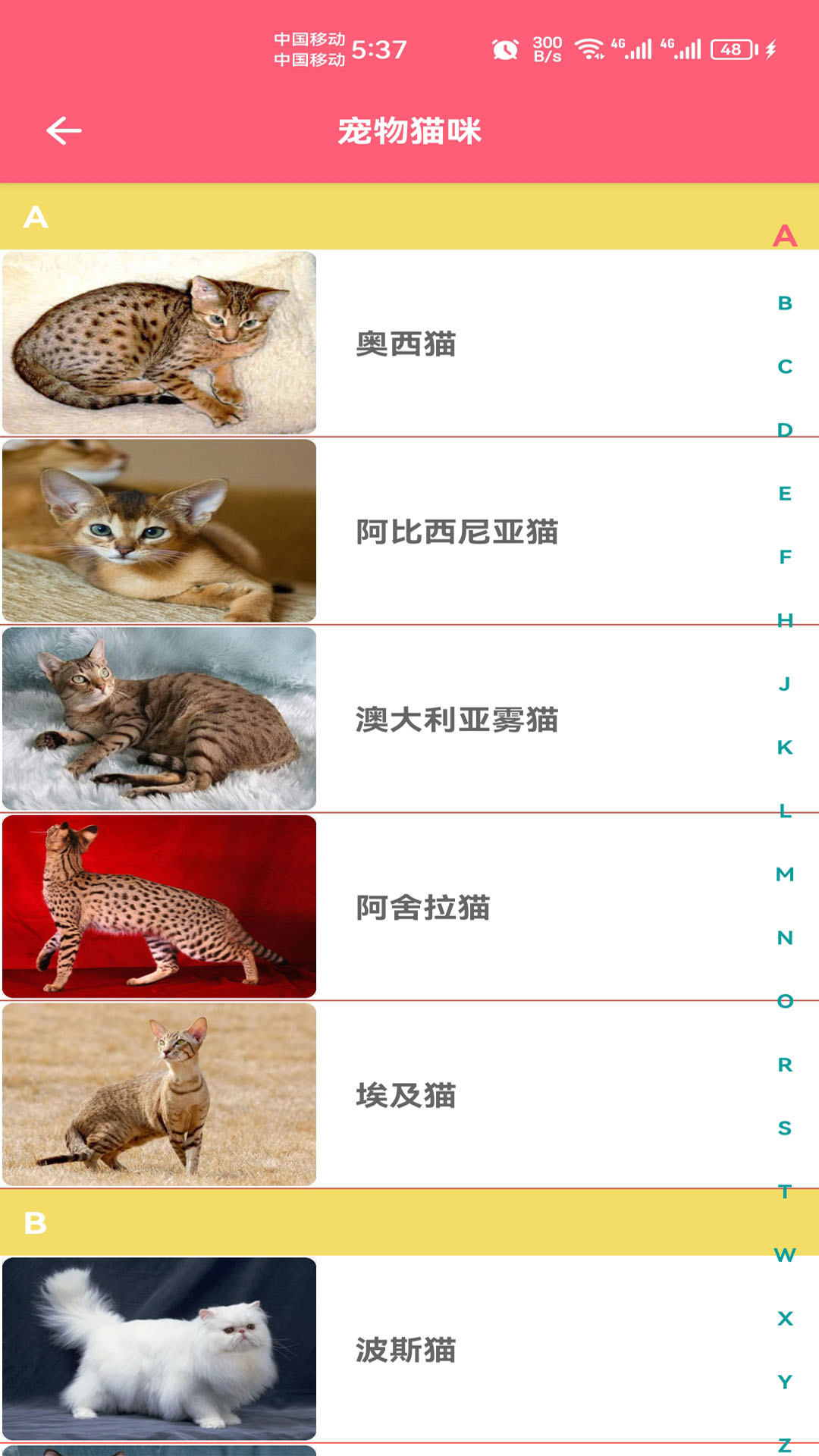 精彩截图-宠物宝宝大全2025官方新版