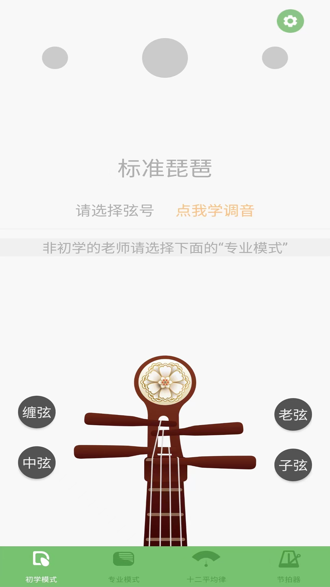 精彩截图-智能琵琶调音器2025官方新版