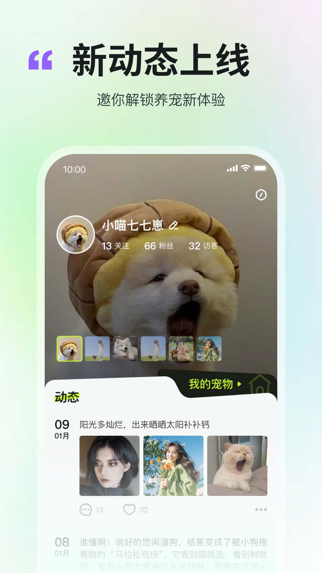 精彩截图-布丢2026官方新版