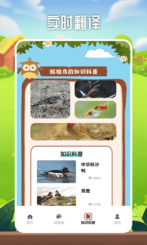 精彩截图-孤独的鸟2025官方新版