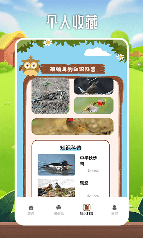 精彩截图-孤独的鸟2025官方新版