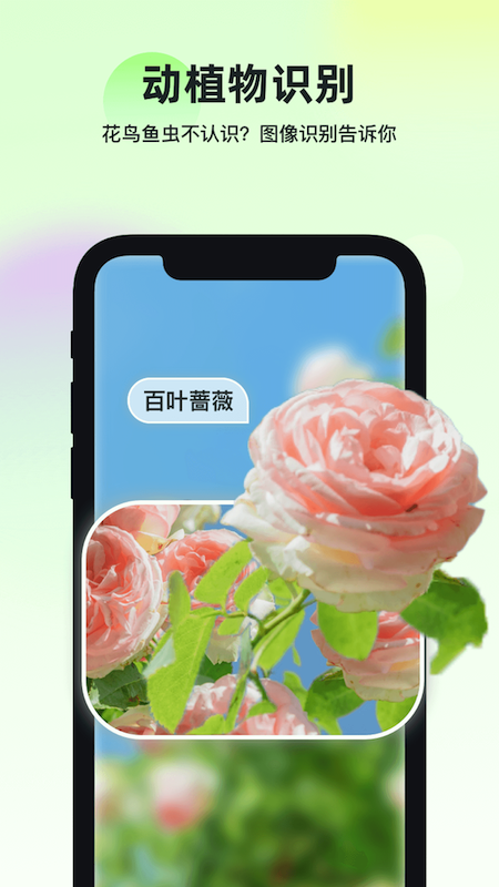 精彩截图-智能识万物2025官方新版