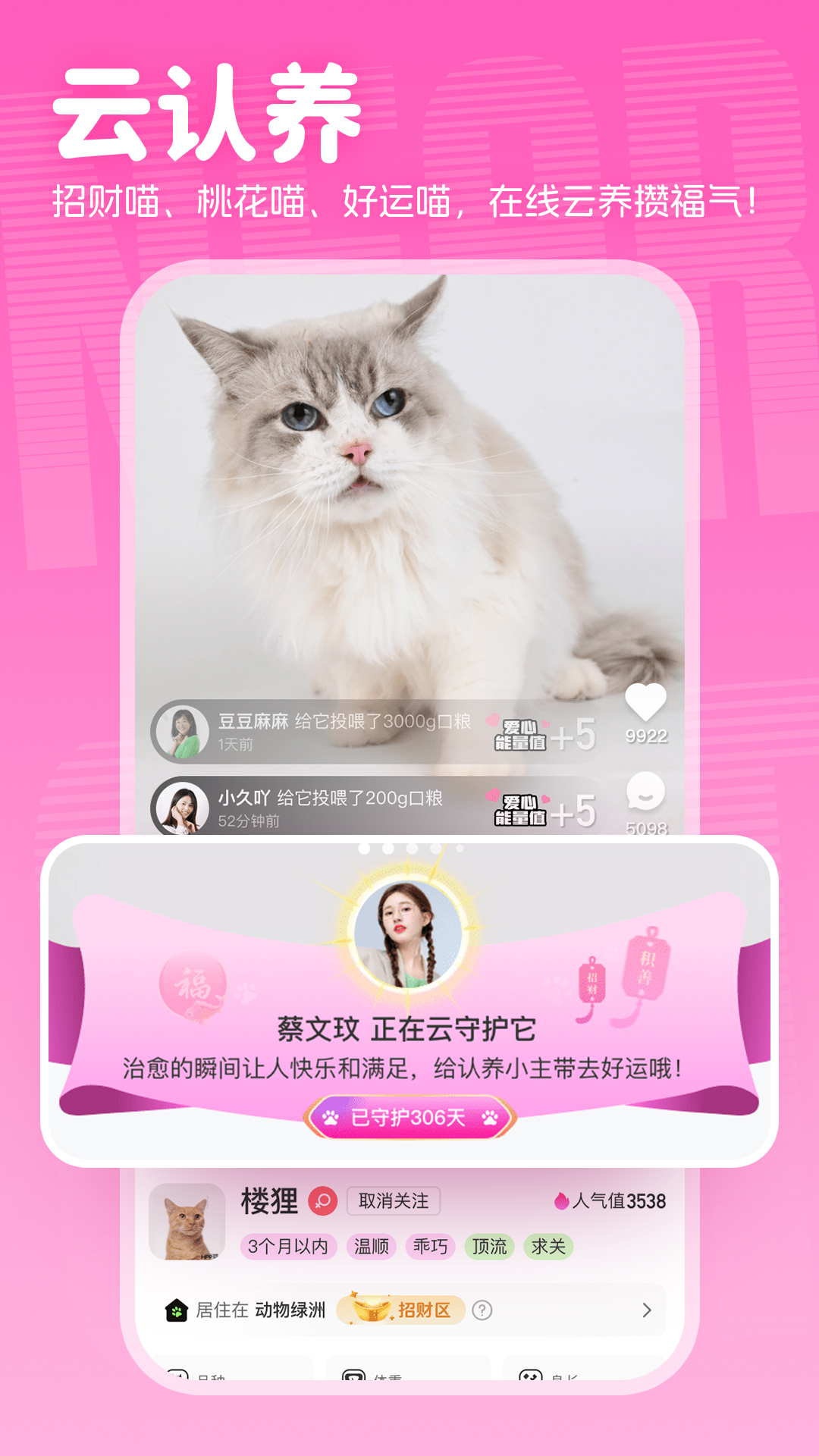 精彩截图-附近有喵2025官方新版