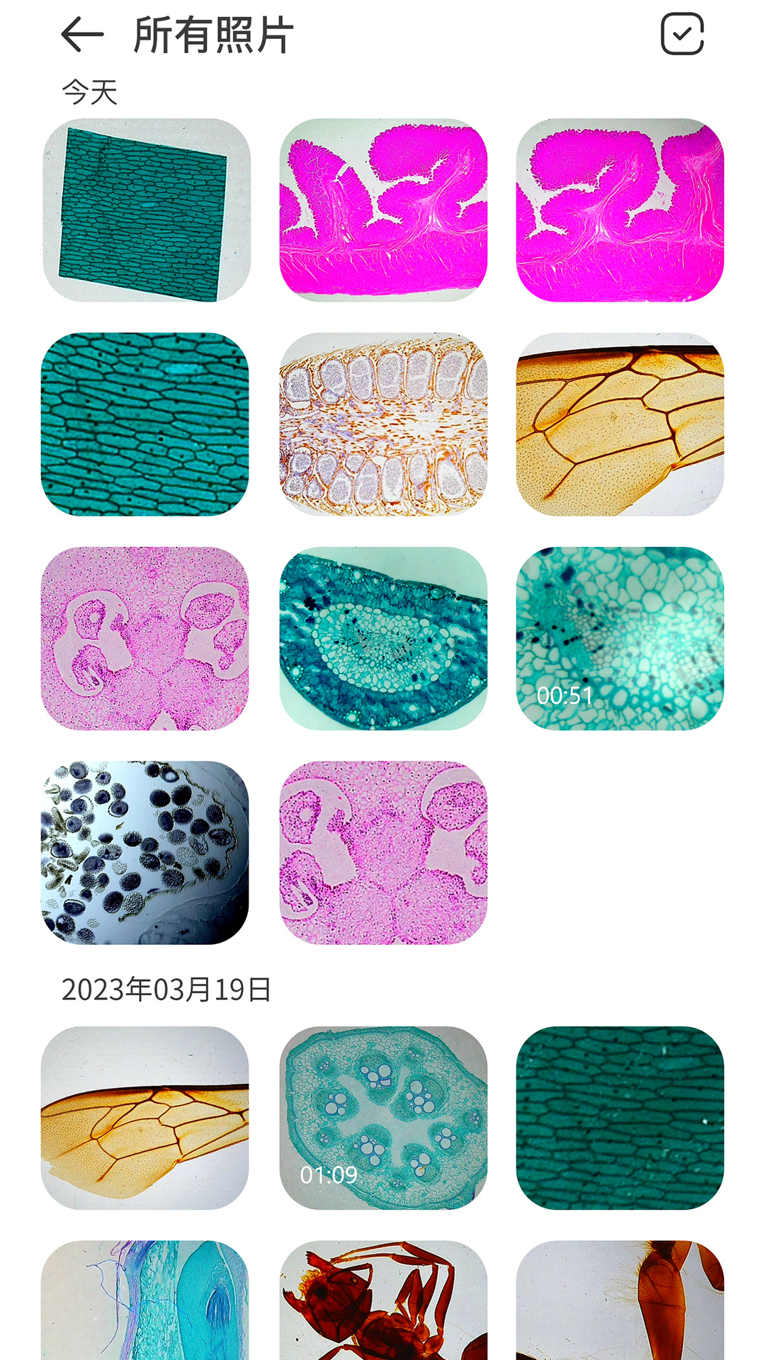 精彩截图-阿蛋科学探索2025官方新版