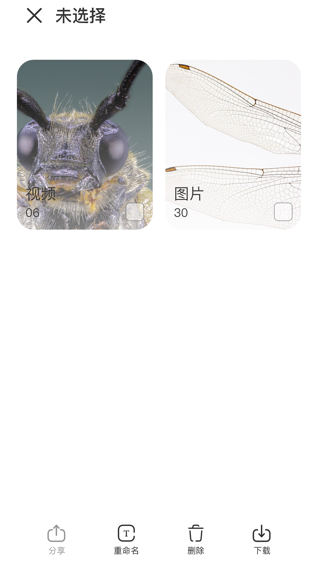 精彩截图-阿蛋科学探索2025官方新版