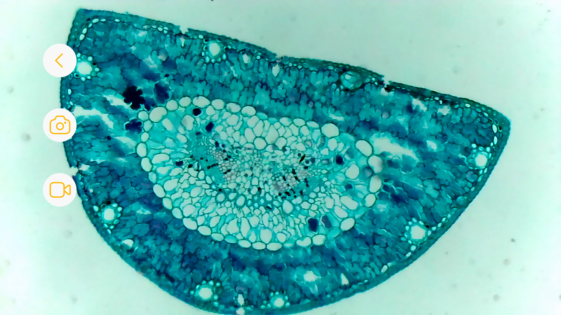 精彩截图-阿蛋科学探索2025官方新版