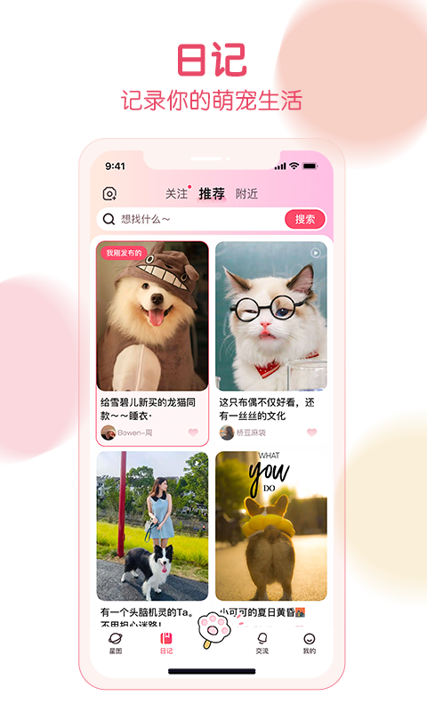 精彩截图-宠行宠宿2025官方新版