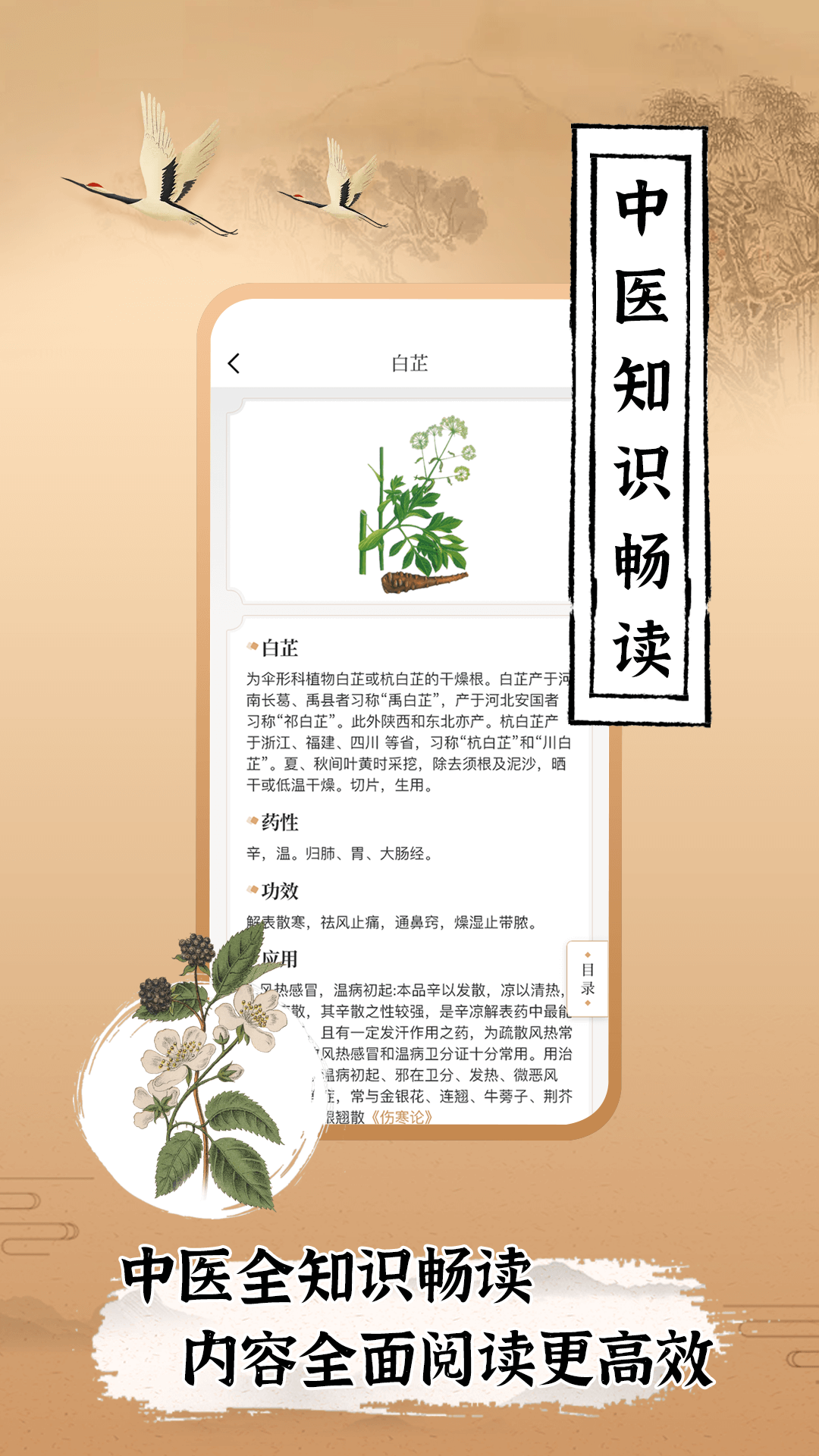 精彩截图-中医世家2025官方新版