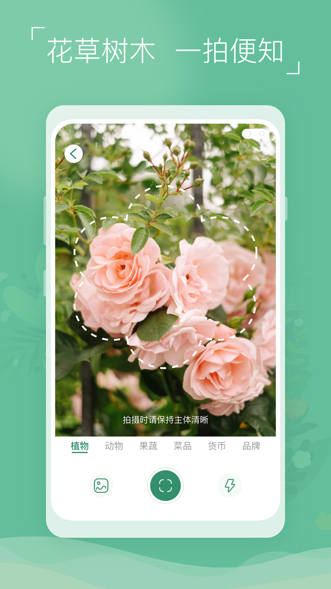 精彩截图-植物识别宝2024官方新版